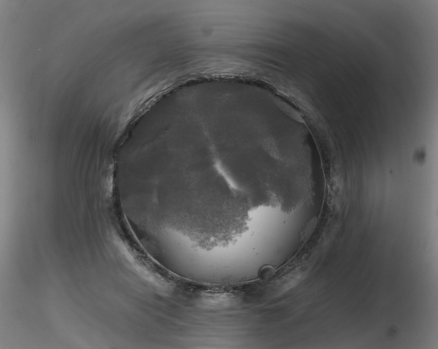 X0000116800454200912181321