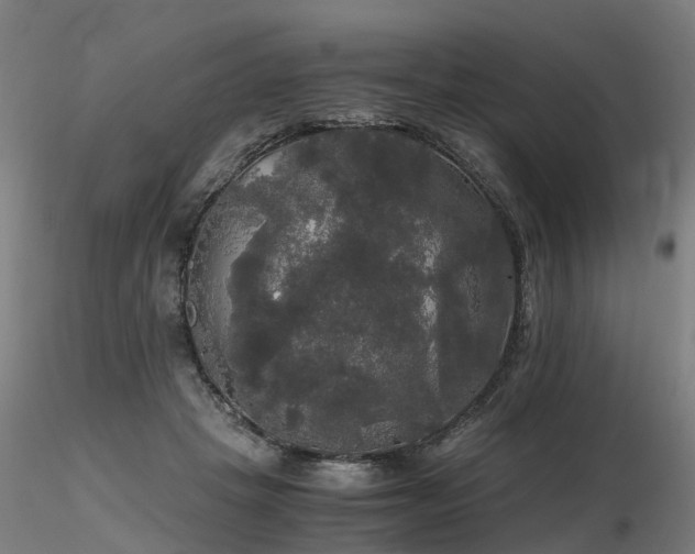 X0000116800457200912181321