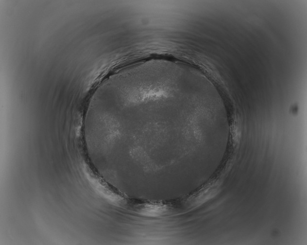 X0000116800458200912181321