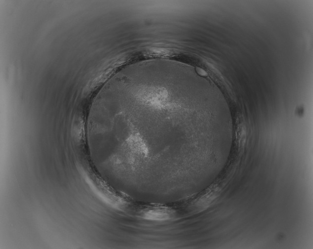 X0000116800459200912181321