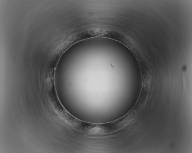 X0000116800460200912181321