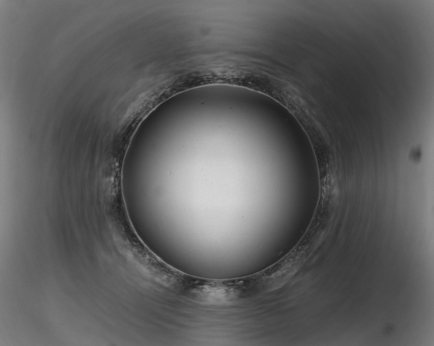 X0000116800464200912181321