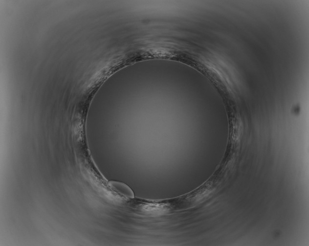 X0000116800465200912181321