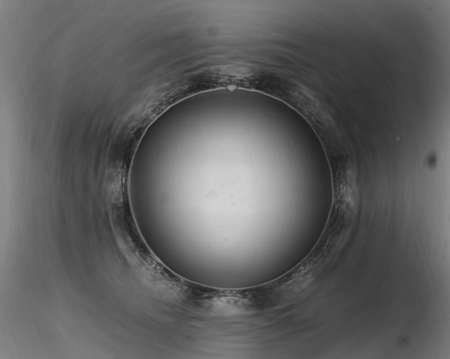 X0000116800468200912181321