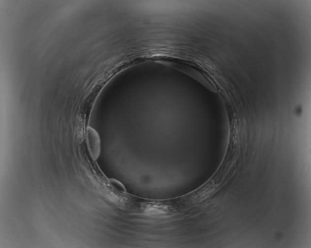 X0000116800471200912181321