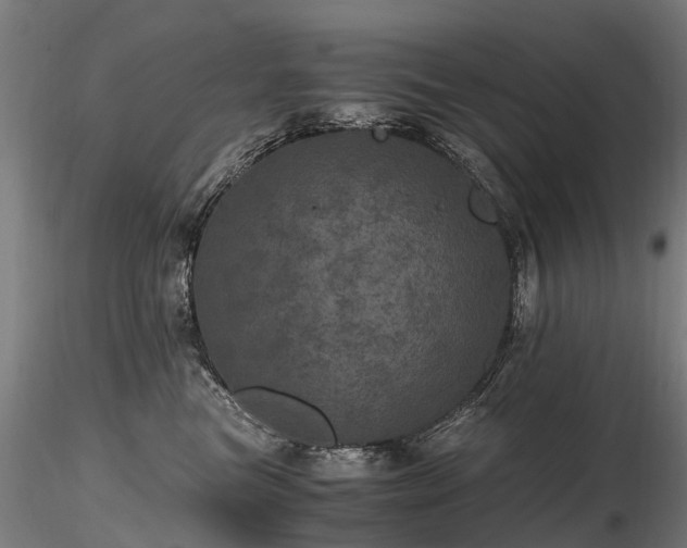 X0000116800473200912181322