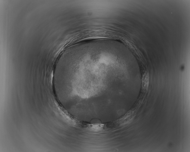 X0000116800474200912181322