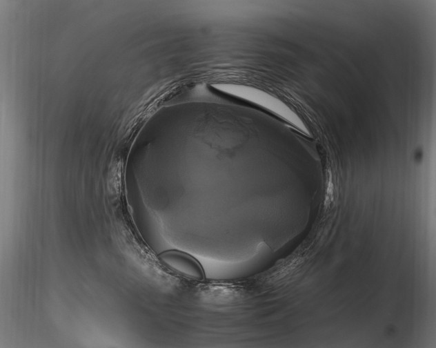 X0000116800475200912181322