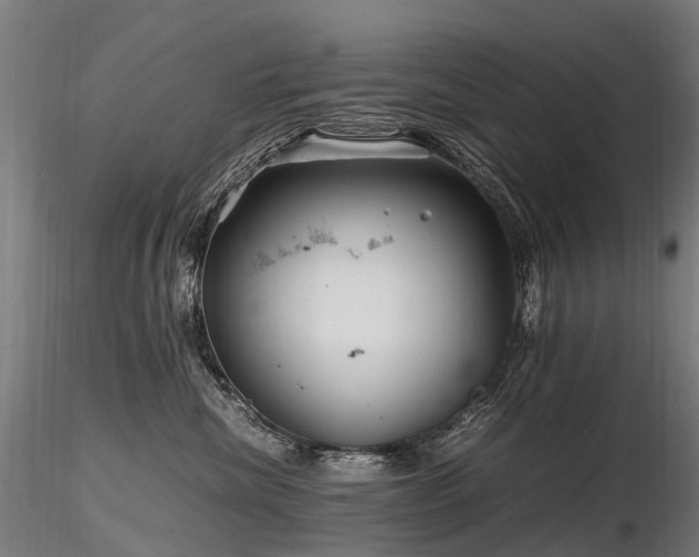 X0000116800476200912181322