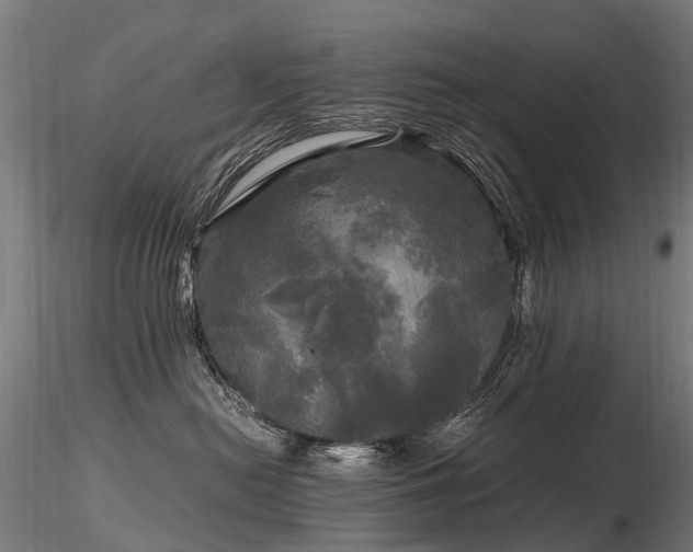 X0000116800478200912181322