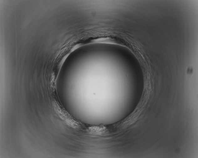 X0000116800480200912181322