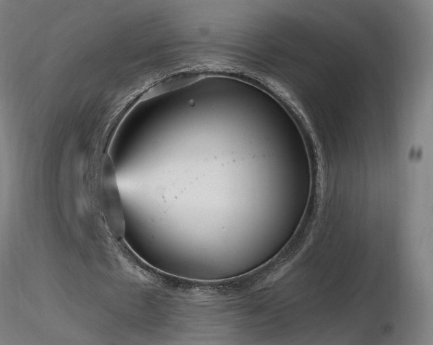 X0000116800481200912181321
