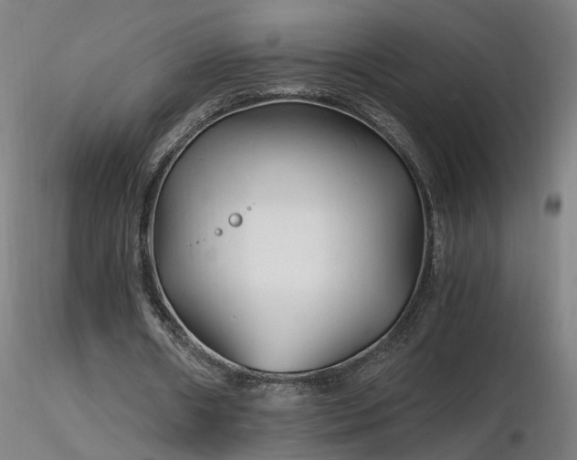 X0000116800482200912181321