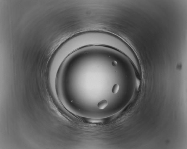 X0000116800485200912181321