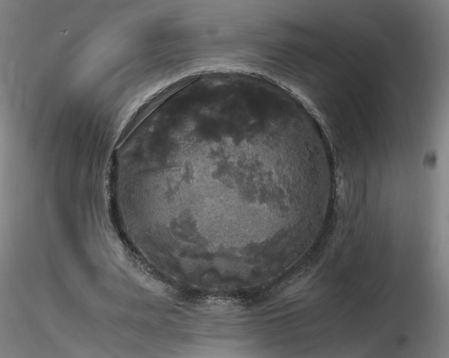X0000116800487200912181321