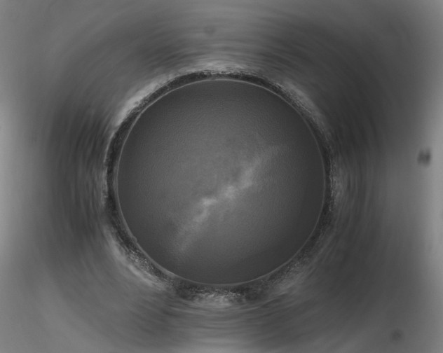 X0000116800488200912181321