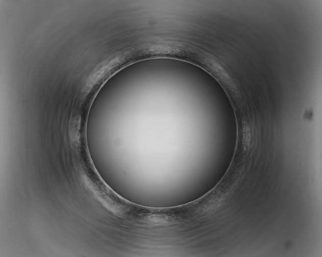 X0000116800490200912181321