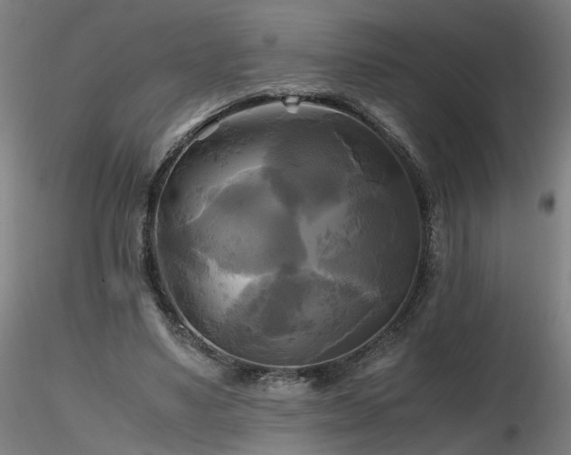 X0000116800491200912181321