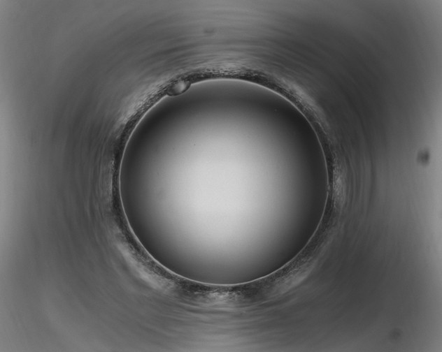 X0000116800493200912181321