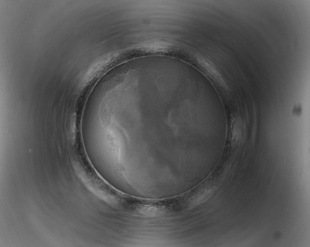 X0000116800494200912181321