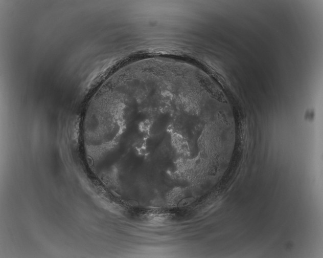 X0000116800495200912181321