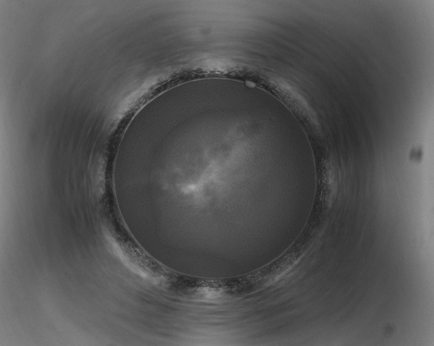 X0000116800496200912181321