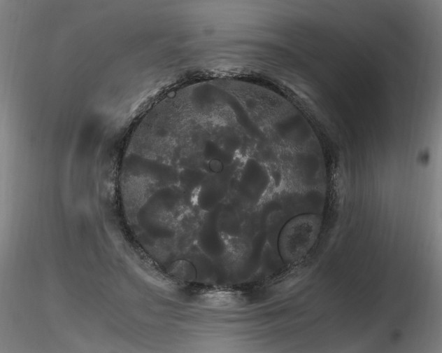 X0000116800499200912181321