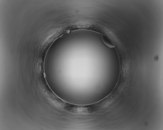 X0000116800501200912181321