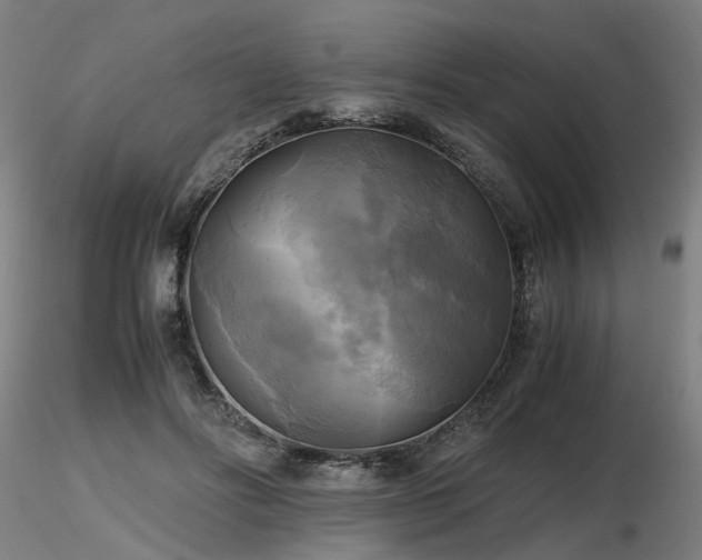 X0000116800502200912181321