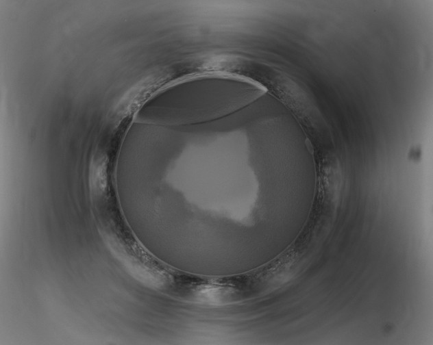X0000116800504200912181321
