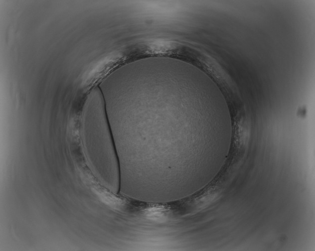 X0000116800505200912181321