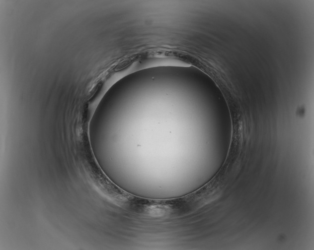 X0000116800508200912181321