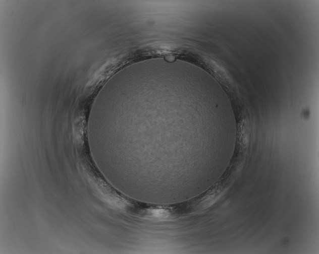 X0000116800509200912181321
