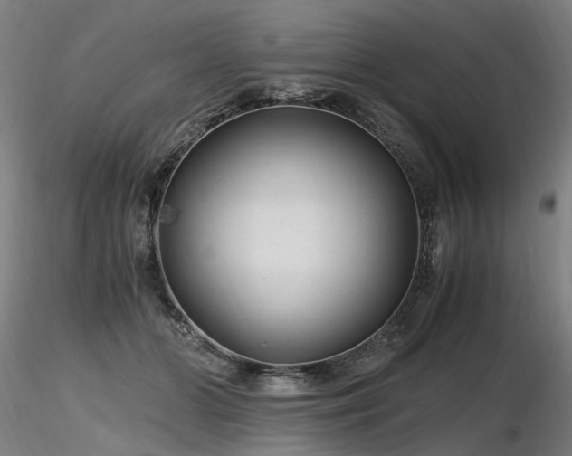 X0000116800510200912181321