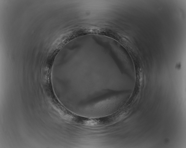 X0000116800511200912181321