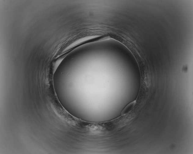 X0000116800512200912181321