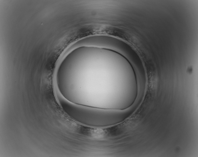 X0000116800513200912181321