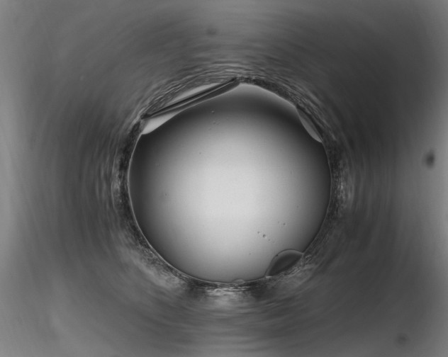 X0000116800516200912181320