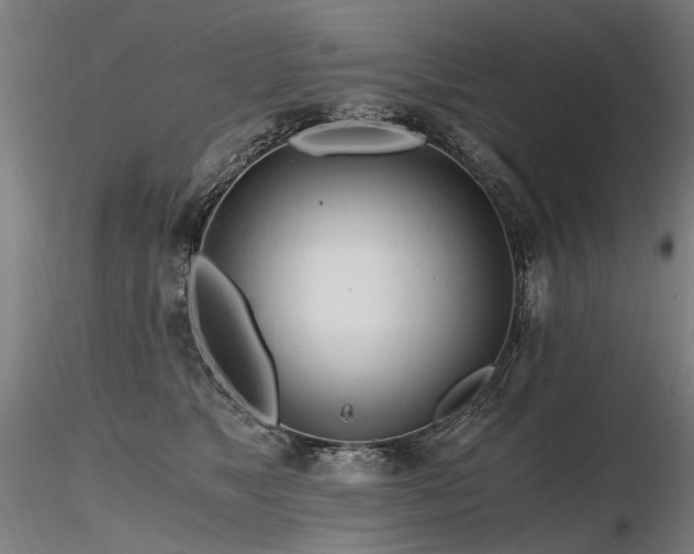 X0000116800517200912181320
