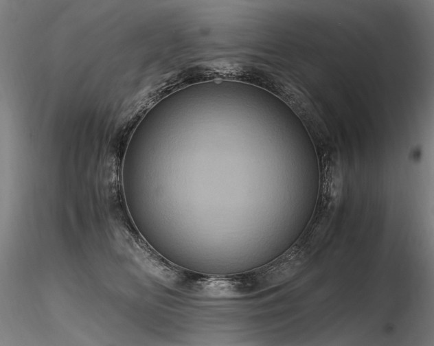 X0000116800518200912181320