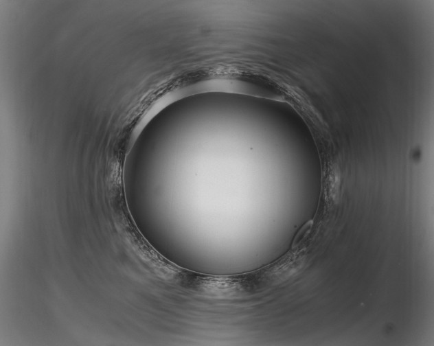 X0000116800521200912181320