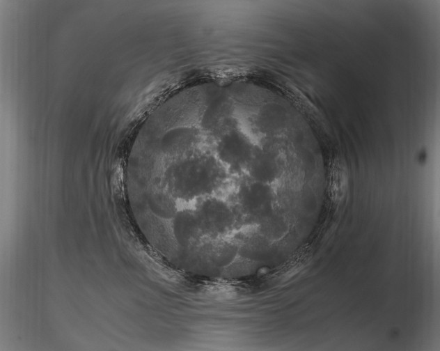 X0000116800523200912181320