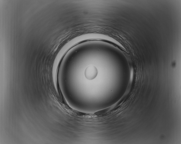 X0000116800524200912181320