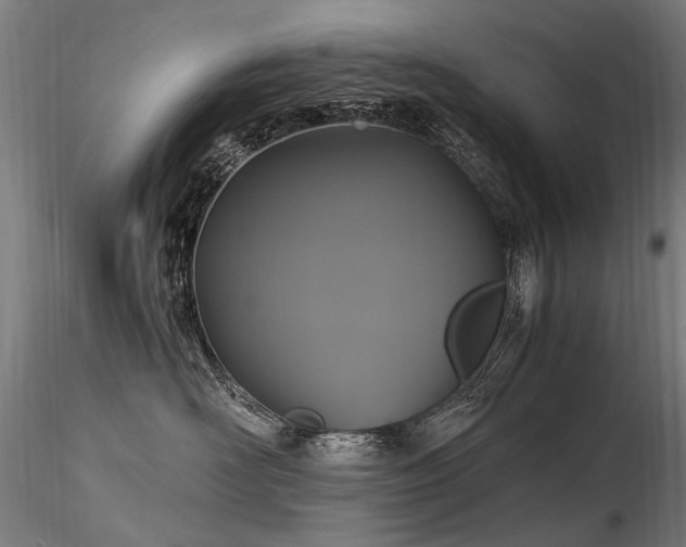 X0000116800526200912181320
