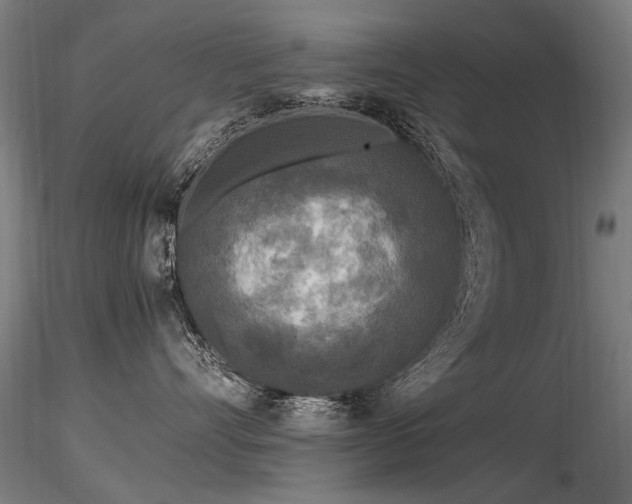 X0000116800528200912181320