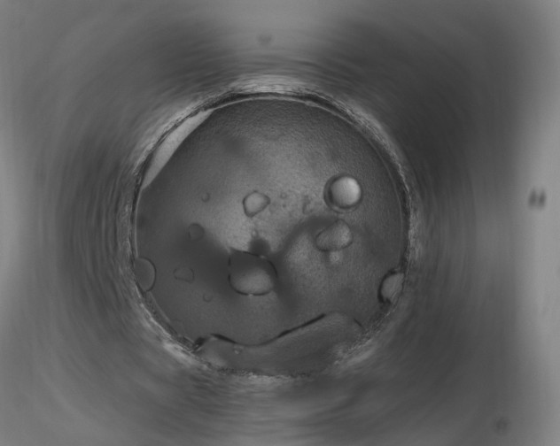 X0000116800529200912181319