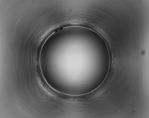 X0000116800530200912181319