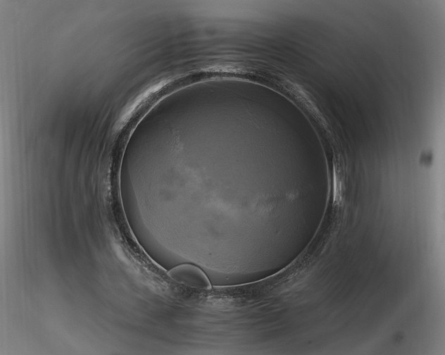 X0000116800531200912181319