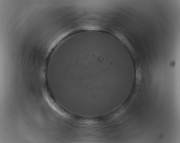 X0000116800533200912181320