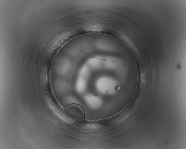 X0000116800541200912181320